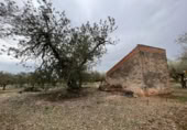 Detached villa with land for sale on España, Roquetes, ref: TR293914 photo