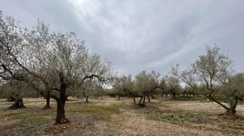 Tarragona - Roquetes - 17m2