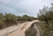 Detached villa with land for sale on España, Roquetes, ref: TR293914 photo