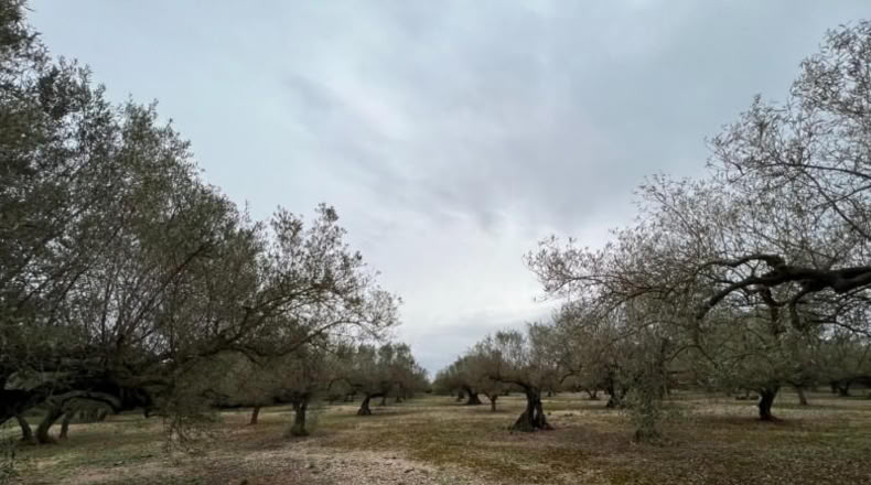 Tarragona - Roquetes - 17m2