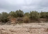 Detached villa with land for sale on España, Roquetes, ref: TR293914 photo