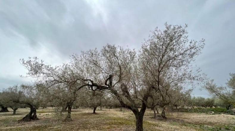 Tarragona - Roquetes - 17m2