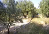 Terreny no urbanitzable en venda a la España, Calasparra, ref.: TR119418 foto