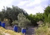 Terreny no urbanitzable en venda a la España, Calasparra, ref.: TR119418 foto