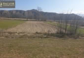 Non-developable land for sale on España, Villastar, ref: TR115365 photo