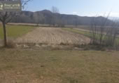 Non-developable land for sale on España, Villastar, ref: TR115365 photo