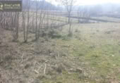 Non-developable land for sale on España, Villastar, ref: TR115365 photo