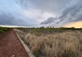 Non-developable land for sale on España, Alginet, ref: TR130246 photo
