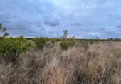 Non-developable land for sale on España, Alginet, ref: TR130246 photo