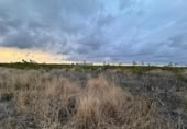 Non-developable land for sale on España, Alginet, ref: TR130246 photo