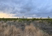 Non-developable land for sale on España, Alginet, ref: TR130246 photo