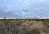 Non-developable land for sale on España, Alginet, ref: TR130246 photo