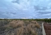 Non-developable land for sale on España, Alginet, ref: TR130246 photo