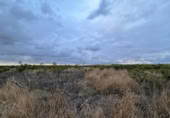 Non-developable land for sale on España, Alginet, ref: TR130246 photo