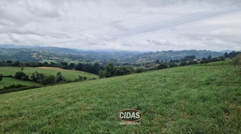 Asturias - Oviedo - 5120m2
