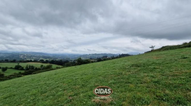 Asturias - Oviedo - 5120m2
