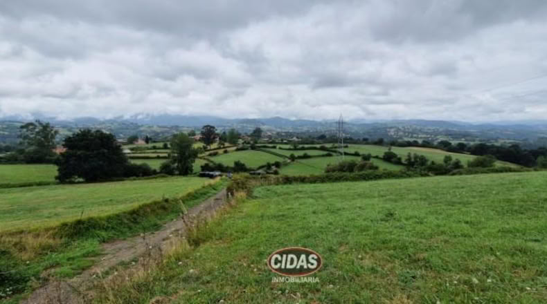 Asturias - Oviedo - 5120m2