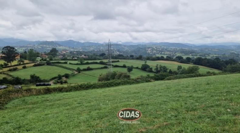 Asturias - Oviedo - 5120m2