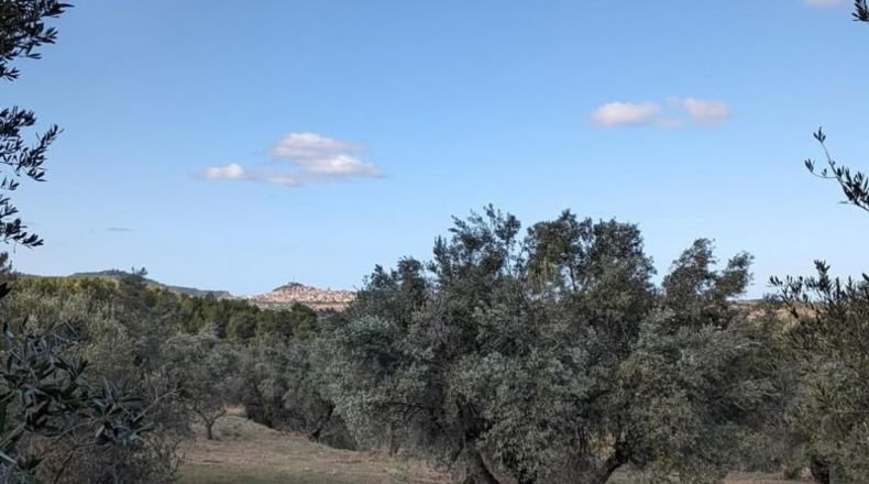 Teruel - Аренс де Льедо - 25781m2