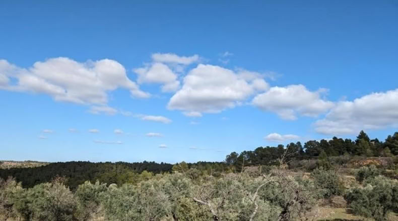 Teruel - Аренс де Льедо - 25781m2