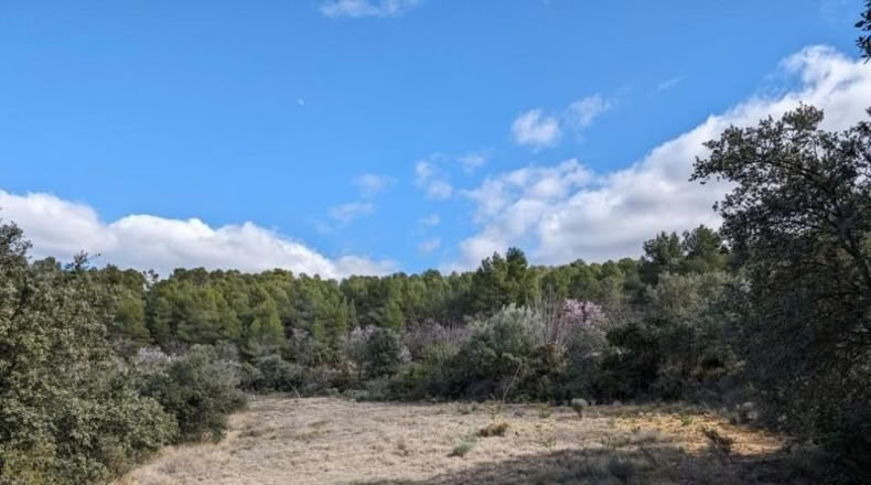 Teruel - Аренс де Льедо - 25781m2