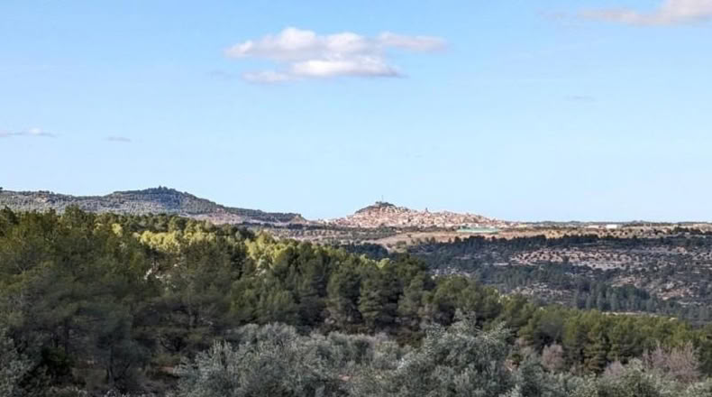Teruel - Аренс де Льедо - 25781m2