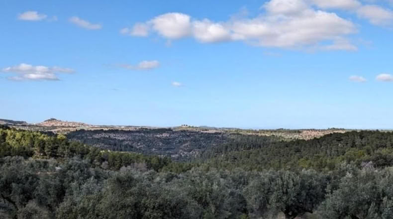 Teruel - Аренс де Льедо - 25781m2