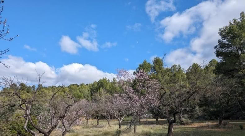 Teruel - Аренс де Льедо - 25781m2