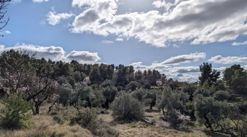 Teruel - Аренс де Льедо - 25781m2