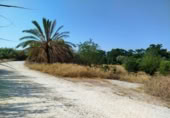 Terreny no urbanitzable en venda a la España, Múrcia, ref.: TR319202 foto