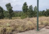 Parcela urbanizable en venta en la España, Garrafe de Torío, ref: TR124216 foto