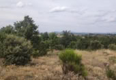 Parcela urbanizable en venta en la España, Garrafe de Torío, ref: TR124216 foto
