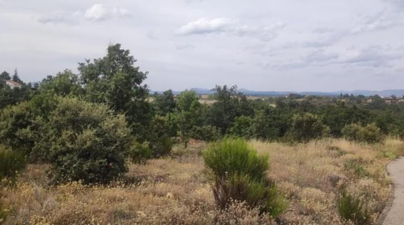 Leon - Garrafe de Torío - 1256m2