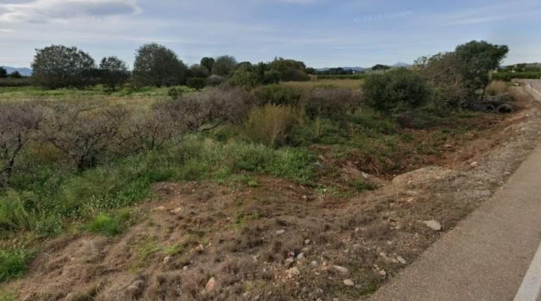 Castellón - Castellón de la Plana - 6729m2