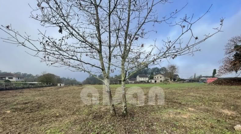 Pontevedra - Puenteareas - 1684m2