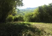 Non-developable land for sale on España, Gijón, ref: TR241734 photo