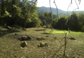 Non-developable land for sale on España, Gijón, ref: TR241734 photo