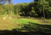 Non-developable land for sale on España, Gijón, ref: TR241734 photo