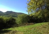 Non-developable land for sale on España, Gijón, ref: TR241734 photo