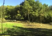 Non-developable land for sale on España, Gijón, ref: TR241734 photo