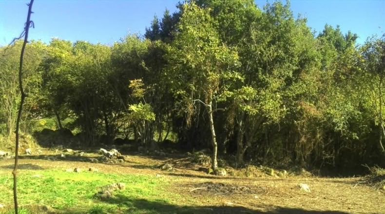 Asturias - Gijón - 2360m2