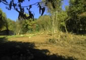 Non-developable land for sale on España, Gijón, ref: TR241734 photo