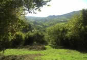 Non-developable land for sale on España, Gijón, ref: TR241734 photo