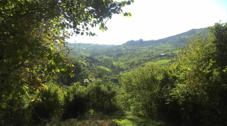 Asturias - Gijón - 2360m2