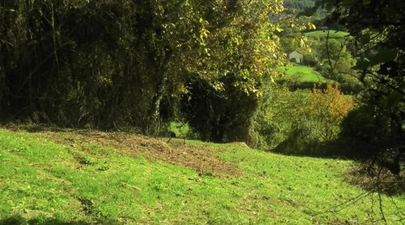 Asturias - Gijón - 2360m2