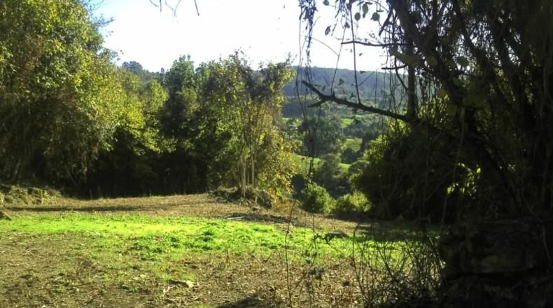 Asturias - Gijón - 2360m2