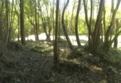 Non-developable land for sale on España, Gijón, ref: TR241734 photo