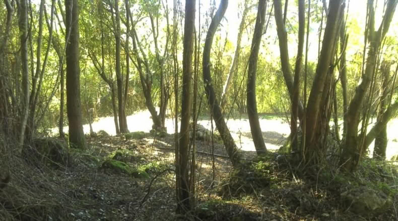 Asturias - Gijón - 2360m2