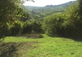 Non-developable land for sale on España, Gijón, ref: TR241734 photo
