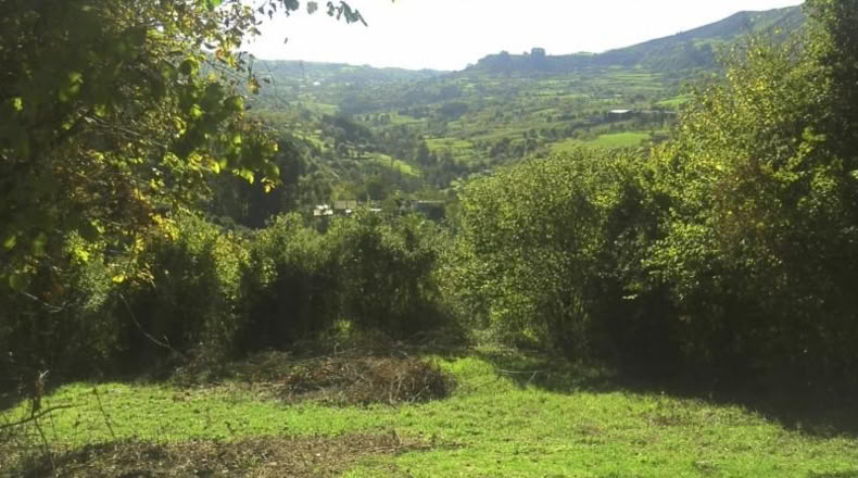 Asturias - Gijón - 2360m2
